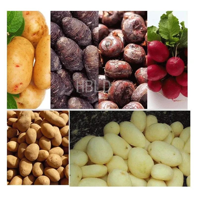 Obieraczka do ziemniaków HBLD, – Commercial Potato Peeler recenzja i cena
